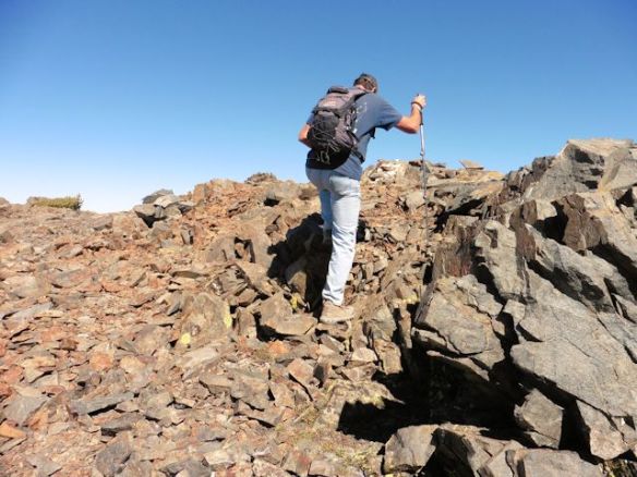 Rock scrambling is required to reach the summit at over 11,000 feet!